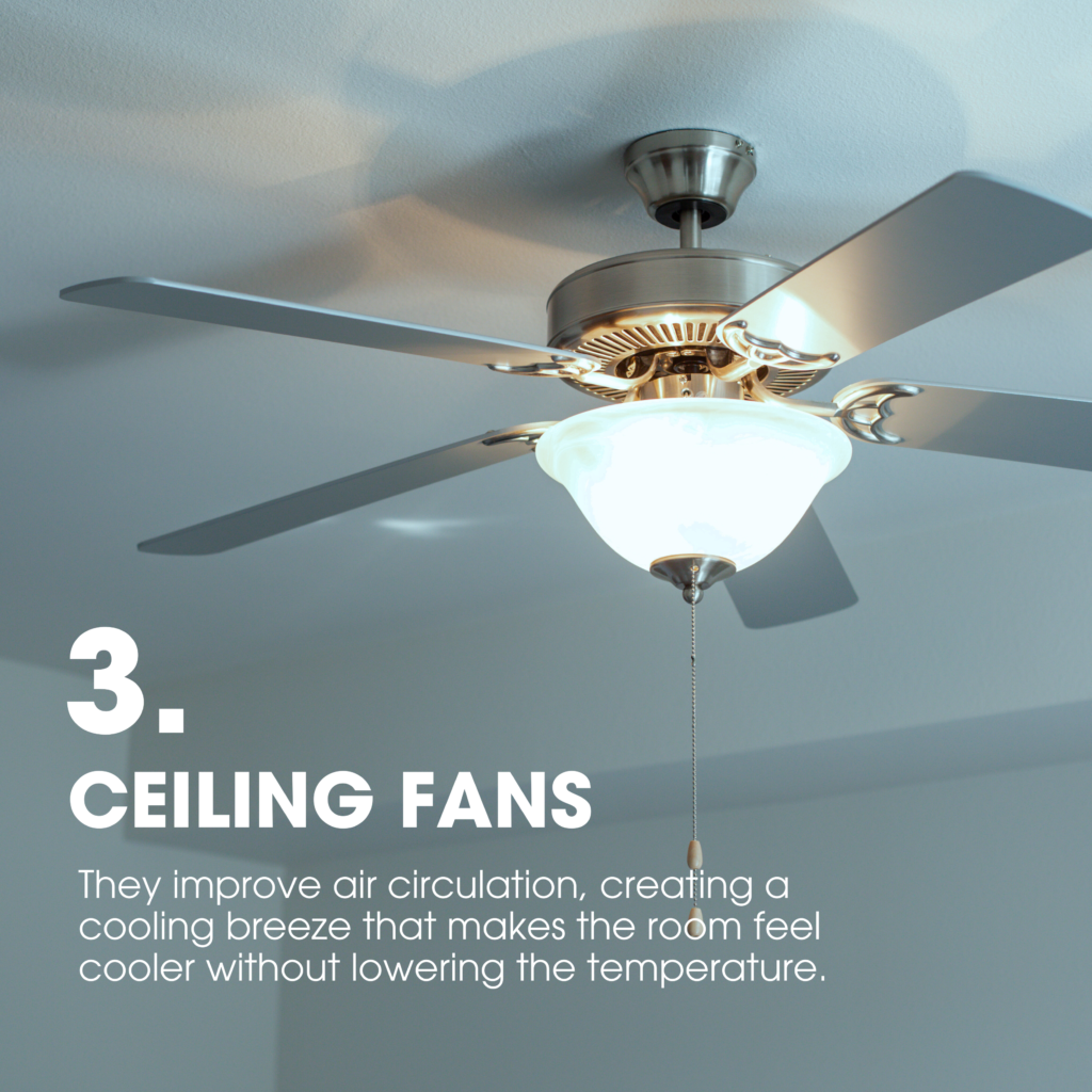 Install Ceiling Fans