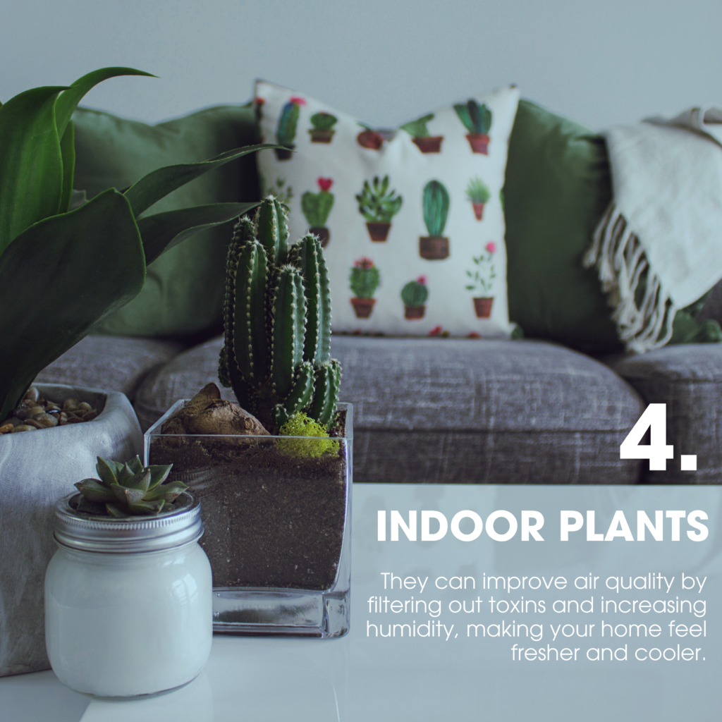 Get Inoor Plants