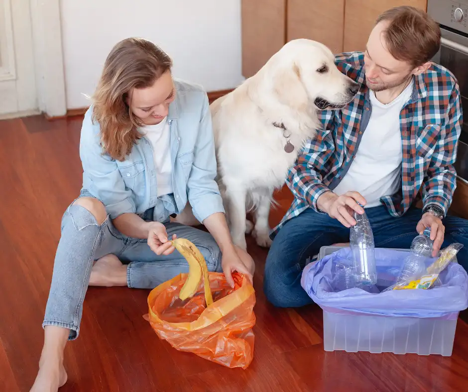 Cleaning with pets Miami