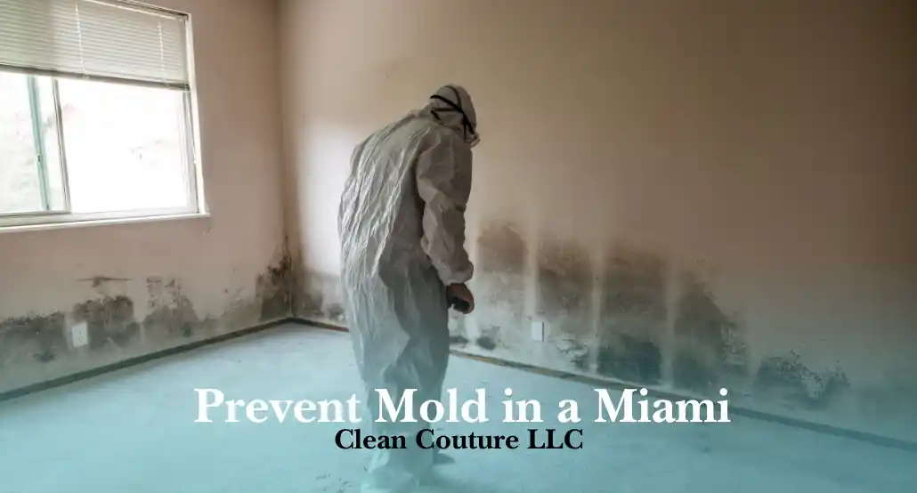 how-to-prevent-mold-in-miami-apartment | Clean Couture LLC